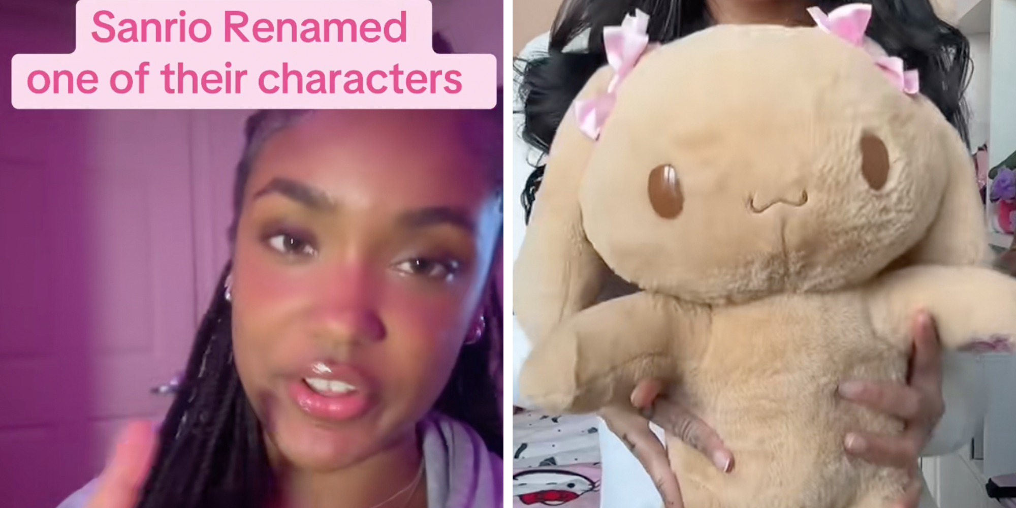 Left: Woman looking into the screen, text overlay reads, "Sanrio renamed one of their characters." Right: Hands holding a stuffed Mocha plushie.