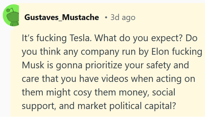 Reddit comment reading "It’s fucking Tesla. What do you expect? Do you think any company run by Elon fucking Musk is gonna prioritize your safety and care that you have videos when acting on them might cosy them money, social support, and market political capital? Wake up."
