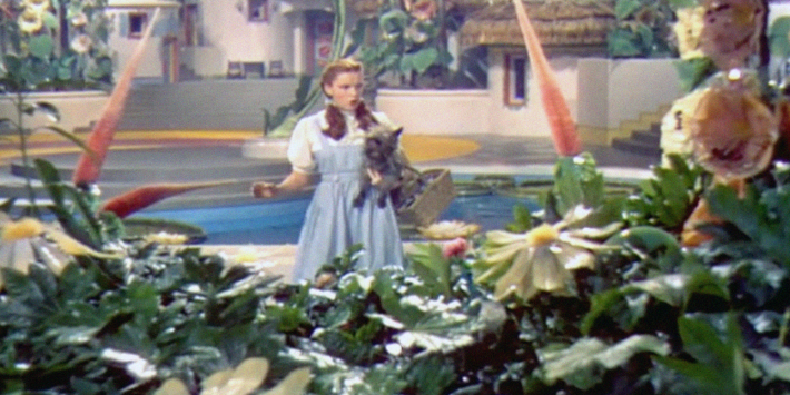 dorothy wizard of oz