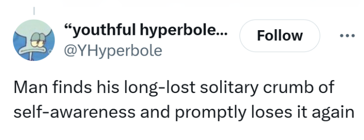 Tweet that reads, "Man finds his long-lost solitary crumb of self-awareness and promptly loses it again."