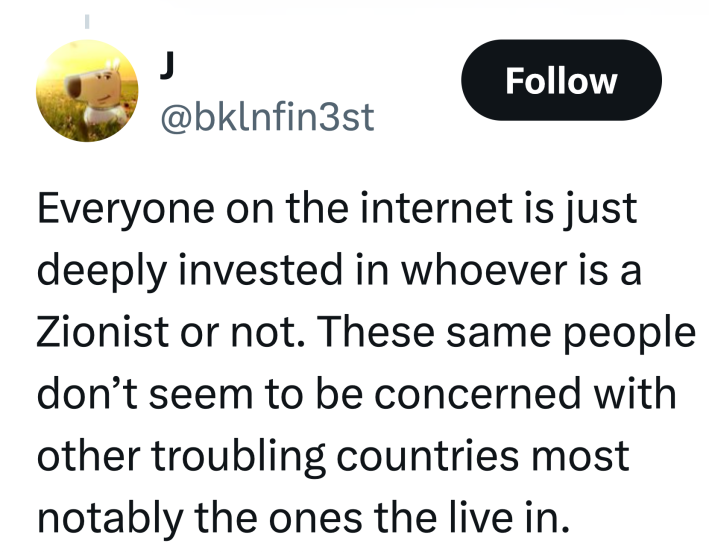 Tweet that reads, "Everyone on the internet is just deeply invested in whoever is a Zionist or not. These same people don’t seem to be concerned with other troubling countries most notably the ones the live in."