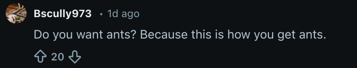 “Do you want ants? Because this is how you get ants.”