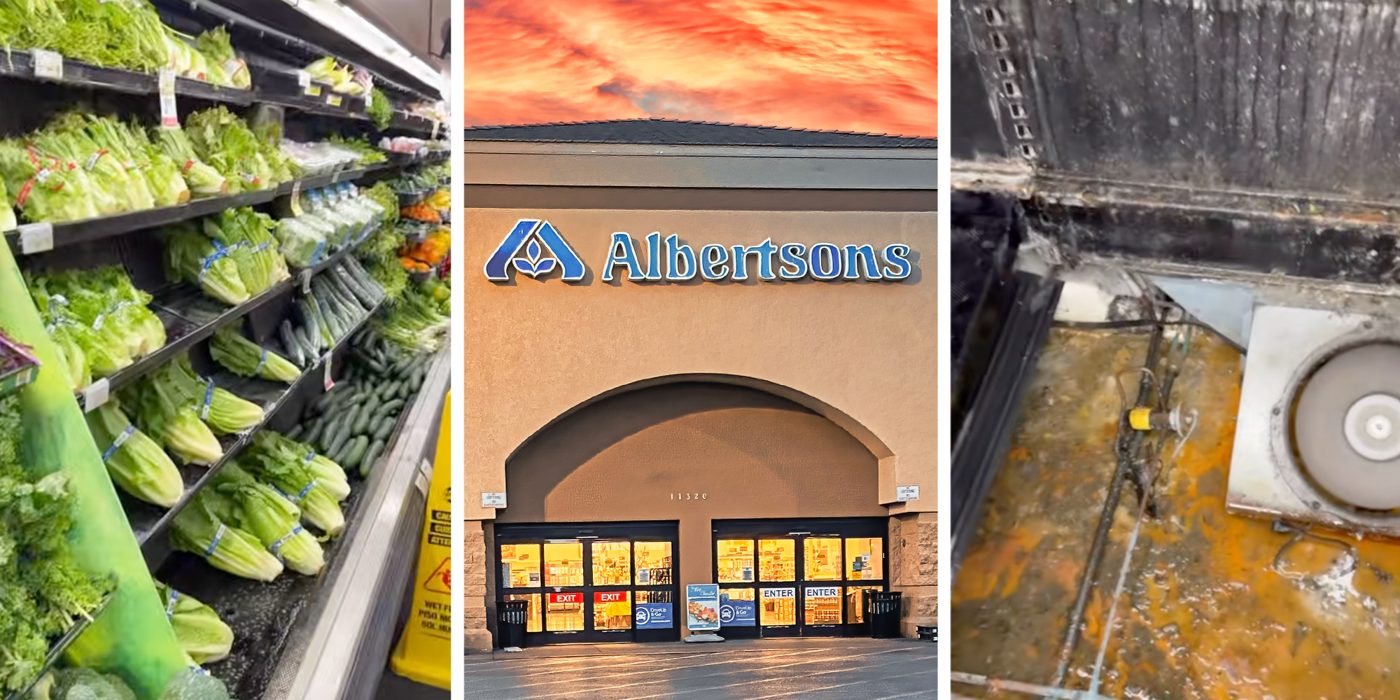 albertsons mold in vegetable aisle coolers