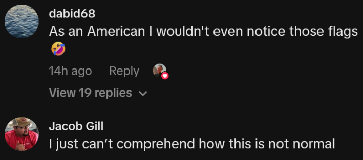 TikTok comments including one reading "As an American I wouldn't even notice those flags"