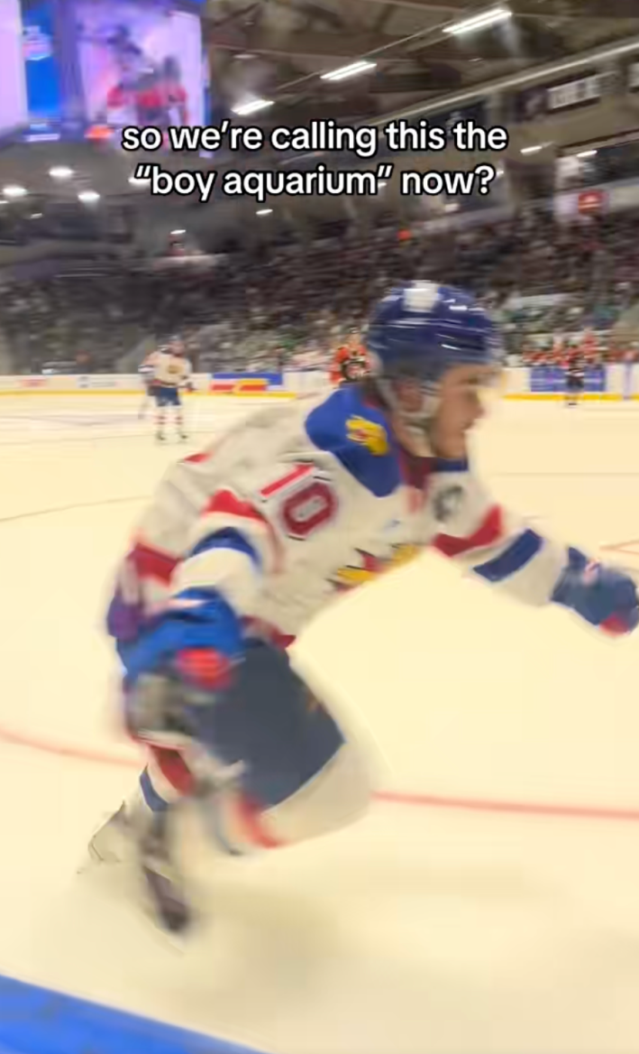 @monctonwildcats/TikTok, hockey players playing in a rink behind glass with onscreen test: "So we're calling this the boy aquarium now?"