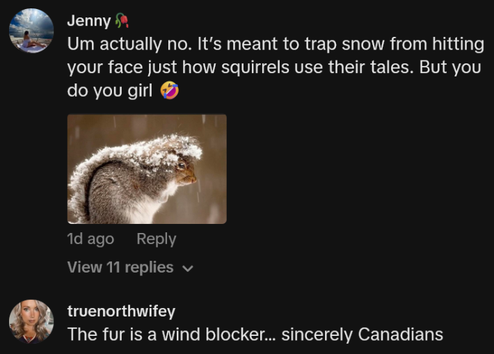TikTok comments including one reading "Um actually no. It’s meant to trap snow from hitting your face just how squirrels use their tales. But you do you girl"