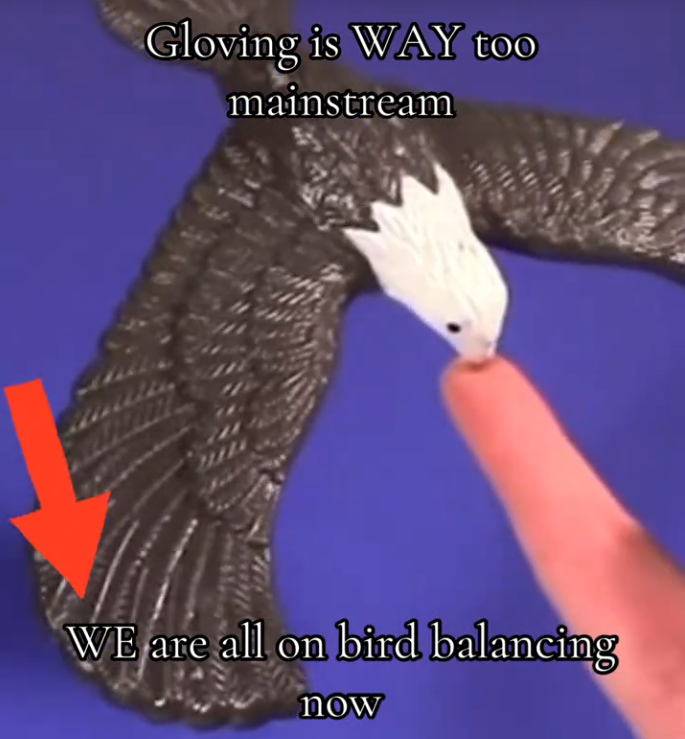 TikTok video of someone balancing an eagle figuring on one finger with a caption reading "Gloving is WAY too mainstream. WE are all on bird balancing now."