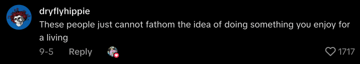 “These people just cannot fathom the idea of doing something you enjoy for a living.”