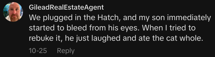 “We plugged in the Hatch, and my son immediately started to bleed from his eyes. When I tried to rebuke it, he just laughed and ate the cat whole.”