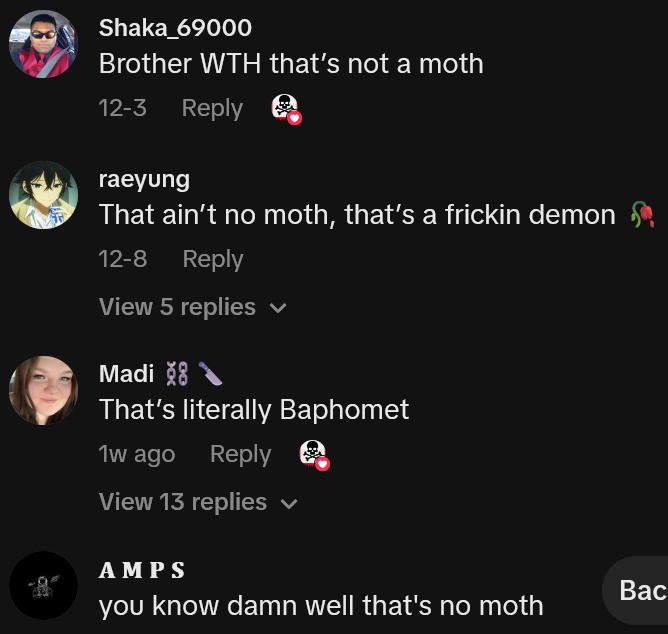 TikTok comments including one reading "Brother WTH that’s not a moth"