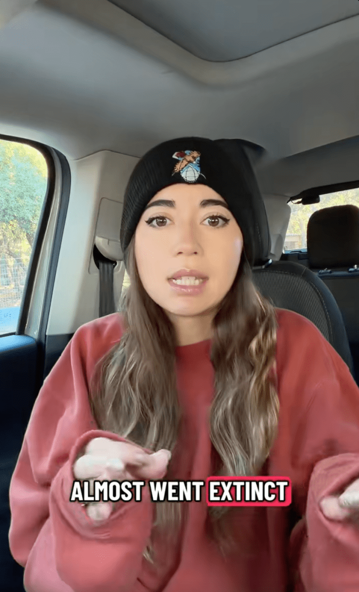 A brown-haired woman in a black beanie and big red sweater talking to her camera in the car. Caption reads, "Almost went extinct."