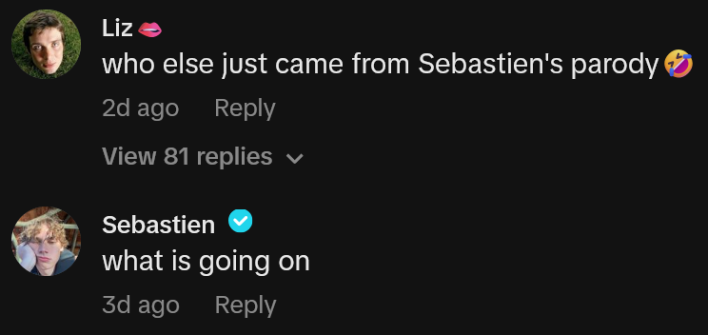 TikTok comments including one by Sebastien reading "what is going on"