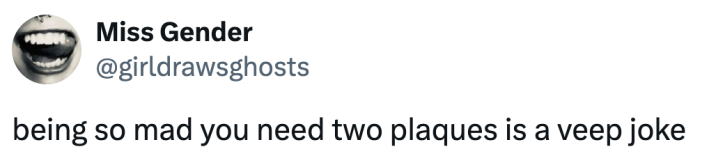 being so mad you need two plaques is a veep joke