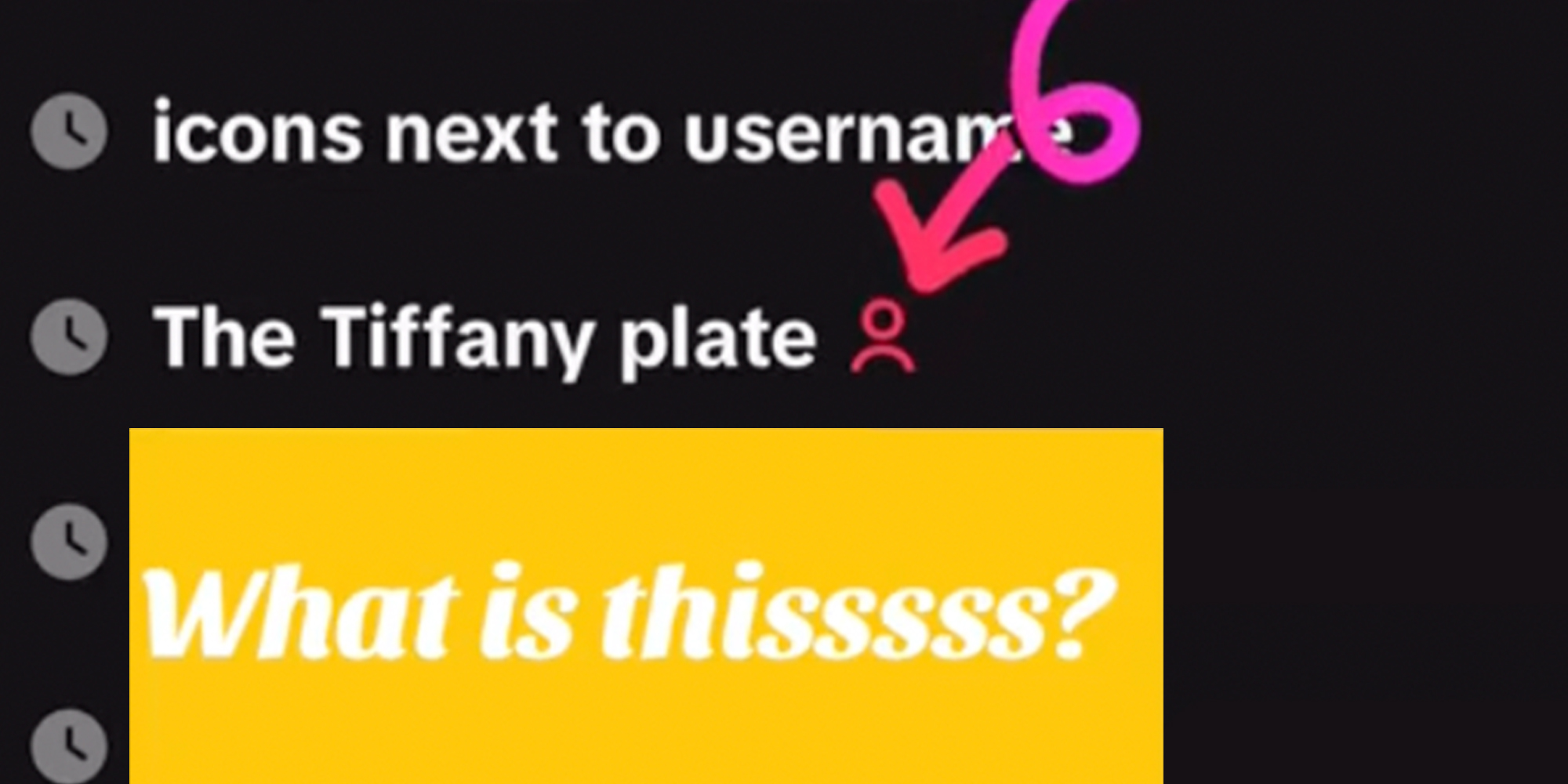 TikTok search results, one of which reads, "The Tiffany plate" besides a red person icon on TikTok. Text overlay reads, "what is this?"