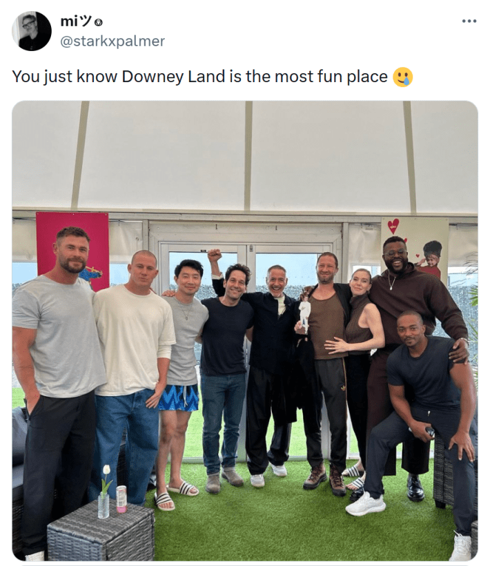Tweet that reads, "You just know Downey Land is the most fun place 🥲" with a photo of MCU actors in casual clothing.