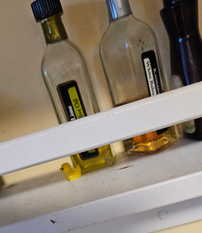 tiny plastic duck hidden in kitchen