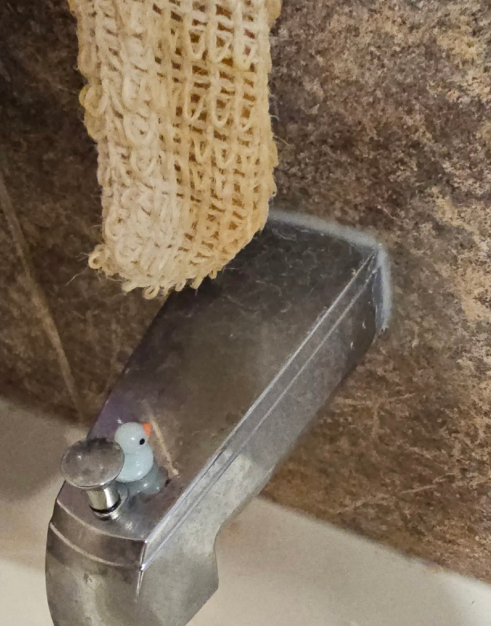 tiny plastic duck hidden in bathroom