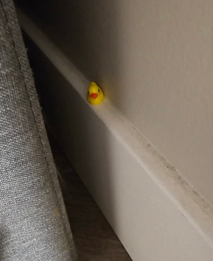 tiny plastic duck hidden behind couch