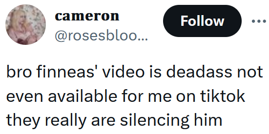 Tweet reading "bro finneas' video is deadass not even available for me on tiktok they really are silencing him"