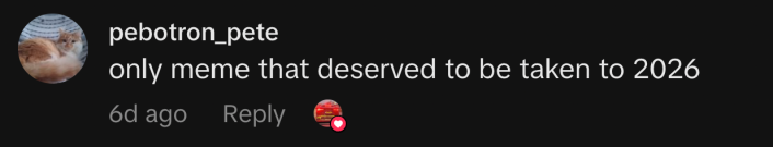 “only meme that deserved to be taken to 2026”