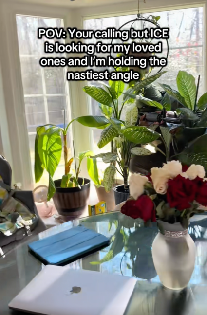 o ângulo mais desagradável do gelo escondido nas plantas