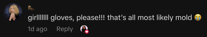 “girlllllll gloves, please!!! that’s all most likely mold 😭”