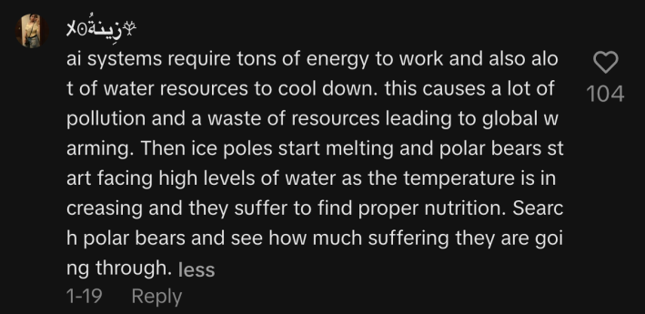 “AI systems require tons of energy to work and also a lot of water resources to cool down. This causes a lot of pollution and a waste of resources leading to global warming. Then ice poles start melting and polar bears start facing high levels of water as the temperature is increasing and they suffer to find proper nutrition.”