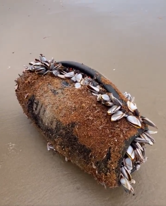 JBL speaker on the beach covered in barnacles.