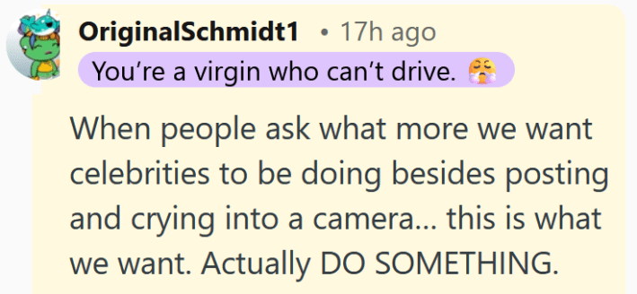 Reddit comment reading "When people ask what more we want celebrities to be doing besides posting and crying into a camera… this is what we want. Actually DO SOMETHING."