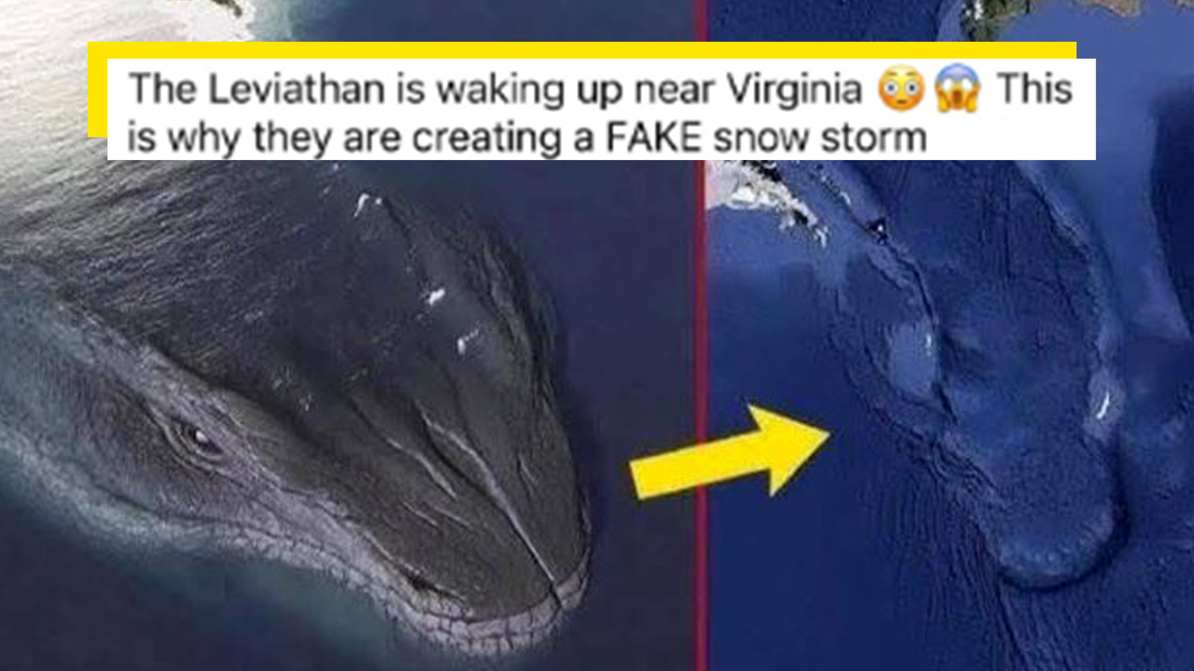 AI-generated image of a Leviathan in the ocean - sort of a mix between a whale and a huge monster. Text overlay reads, ""OMG the Leviathan is waking up near Virginia," reads one such post. "This is why they are creating a FAKE snow storm."