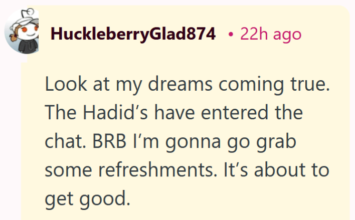 Reddit comment reading "Look at my dreams coming true. The Hadid’s have entered the chat. BRB I’m gonna go grab some refreshments. It’s about to get good."