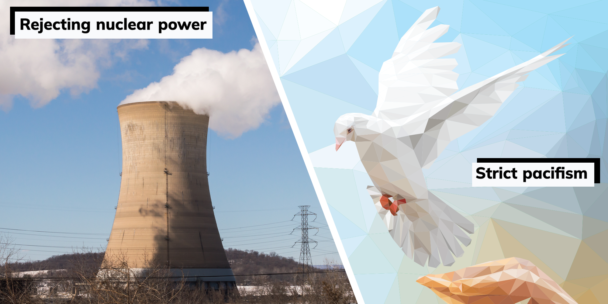 dailydot.com - 'Vegan leather': 15 ideas called 'progressive' that can become the exact opposite in practice