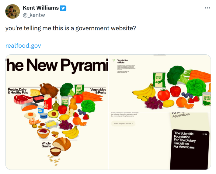 Tweet that reads, "you're telling me this is a government website?" with photos from the simple-styled website with what looks like Cards Against Humanity-style information cards.