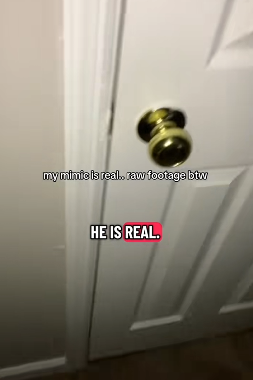 TikTok video showing a closet door with a caption reading "my mimic is real.. raw footage btw"