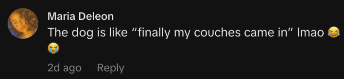 “The dog is like “finally my couches came in” lmao 😂😭”