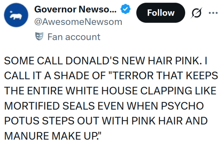 Tweet reading "SOME CALL DONALD'S NEW HAIR PINK. I CALL IT A SHADE OF 'TERROR THAT KEEPS THE ENTIRE WHITE HOUSE CLAPPING LIKE MORTIFIED SEALS EVEN WHEN PSYCHO POTUS STEPS OUT WITH PINK HAIR AND MANURE MAKE UP.'"