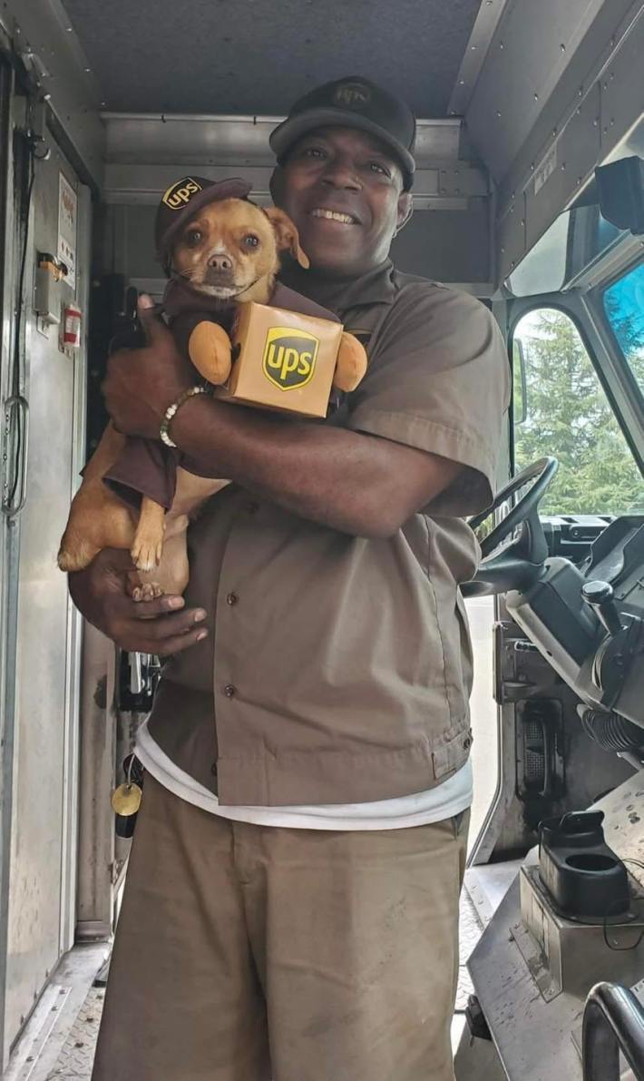 A UPS driver standing in his truck and holding an adorable dog in a UPS driver costume in his arms.