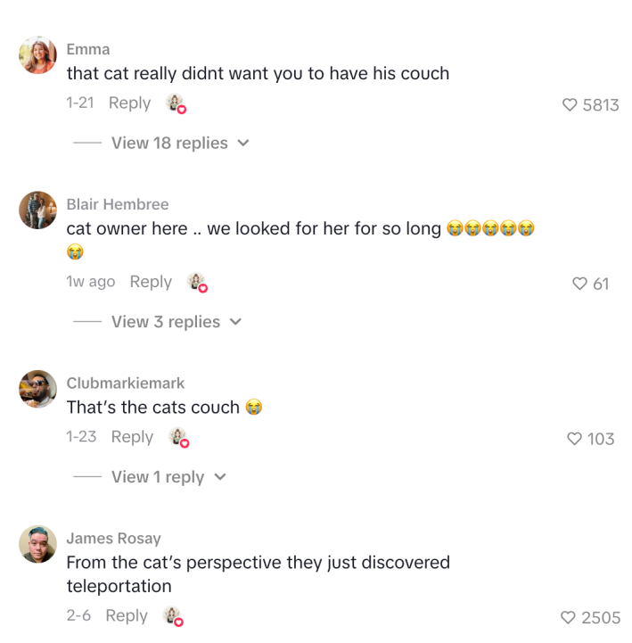 comments on cat in couch video