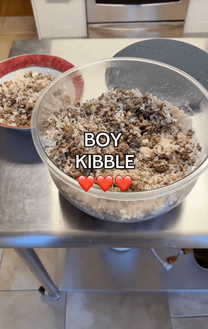 a bowl of rice and meat titled "boy kibble"