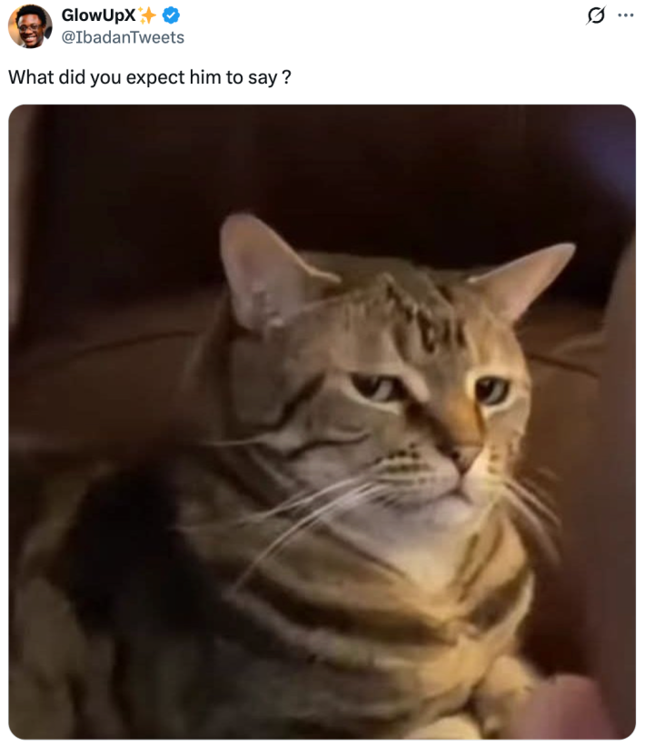 What did you expect him to say ?