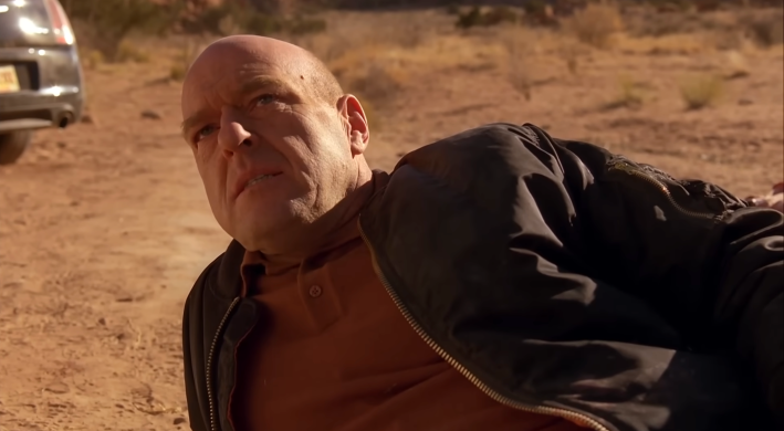 Dean Norris in Breaking Bad
