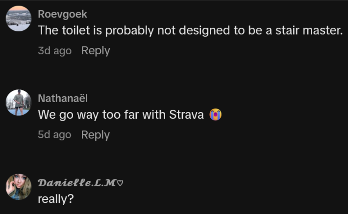 TikTok comments including one reading "The toilet is probably not designed to be a stair master."