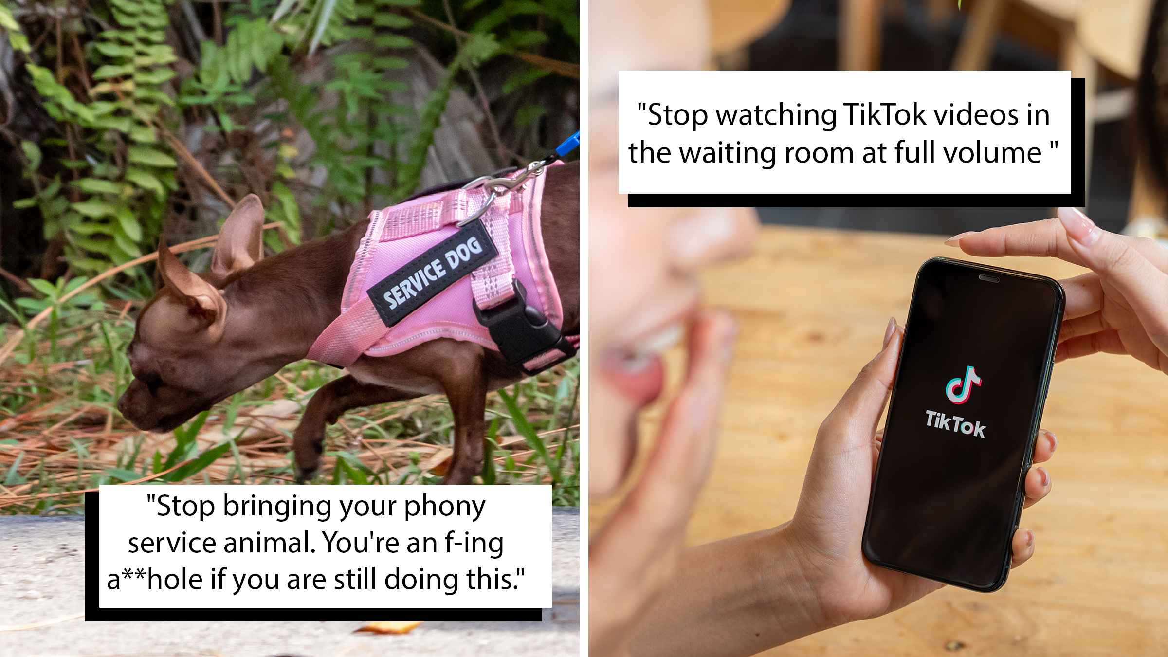 Left: Pink service dog harness on a small apple head chihuahua being walked on a sidewalk walkway path. Text box overlay reads, "Stop bringing your phony service animal. You're an f-ing a**hole if you are still doing this." Right: Two cheerful Asian women are enjoying talking while watching a content on the TikTok application on an iPhone. Text box overlay reads, "Stop watching TikTok videos in the waiting room at full volume"