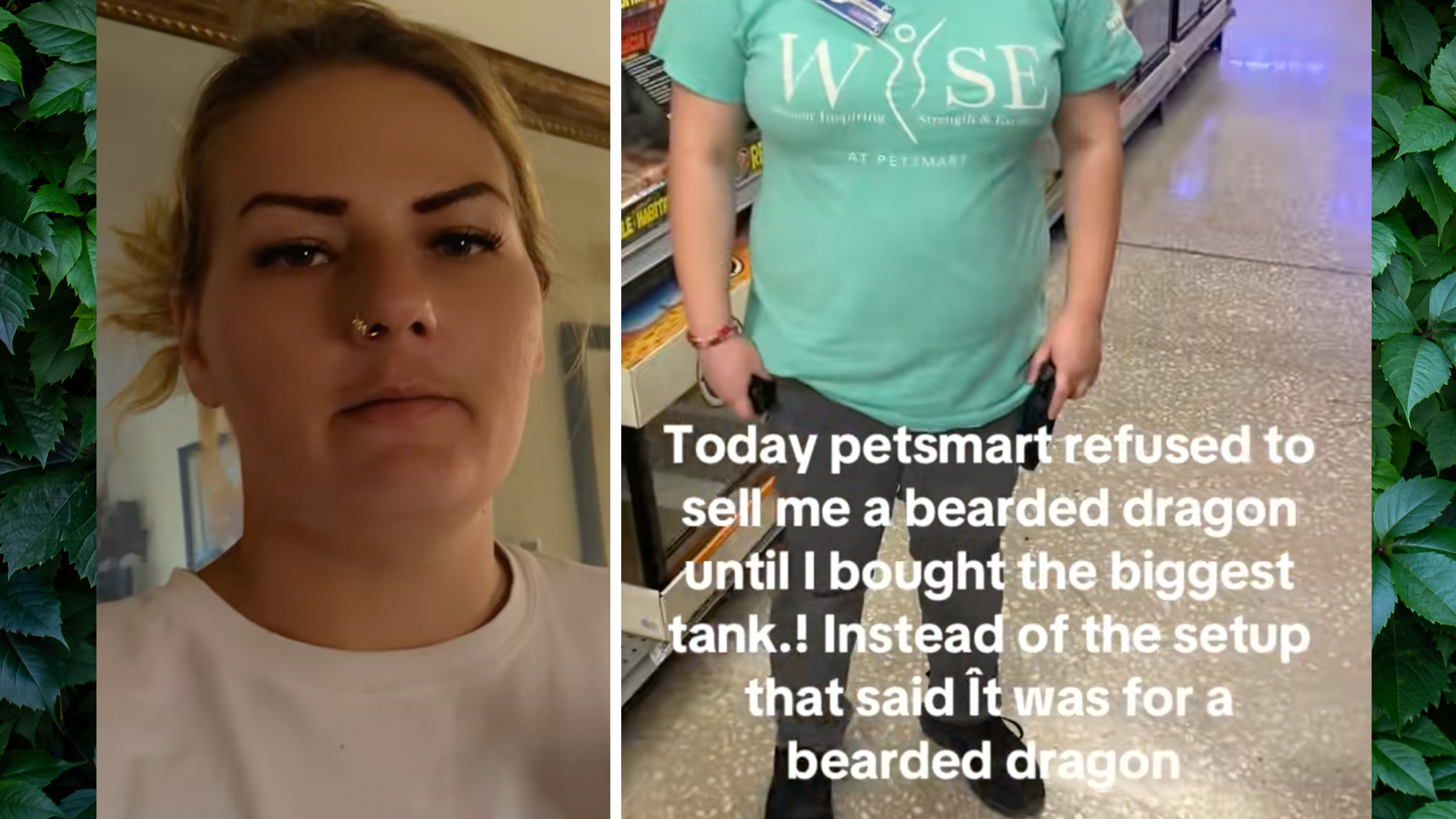 Left: Blonde woman in a white shirt looking into camera. Right: Screenshot of a PetSmart employee in a PetSmart store, text overlay reads, "Today PetSmart refused to sell me a bearded dragon until I bought the biggest tank! Instead of the setuup that said it was for a bearded dragon."