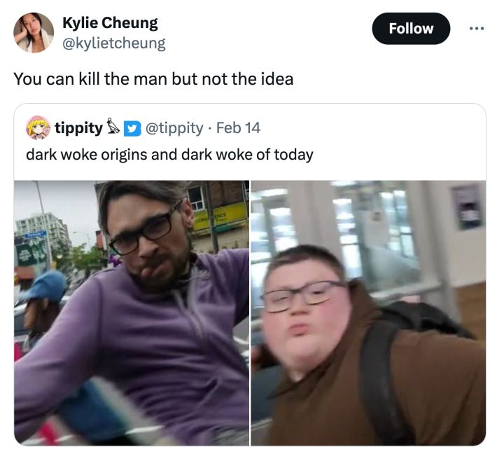 Brown hoodie kid punching meme. text reads, "You can kill the man but not the idea"