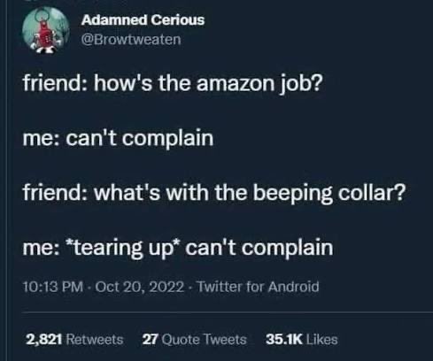 Meme about a job at Amazon where the worker "can't complain."