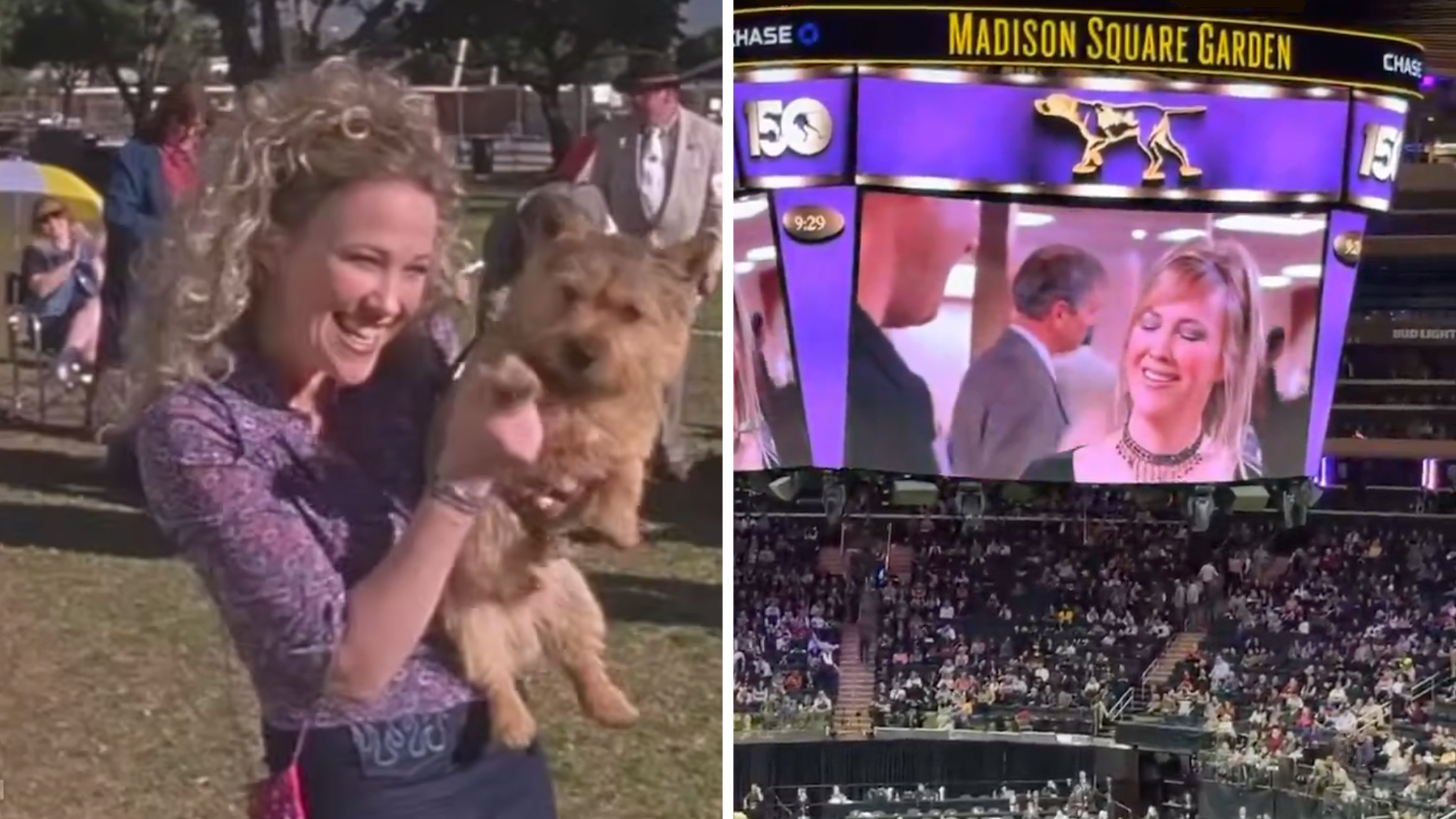 catherine ohara tribute at westminster dog show msg