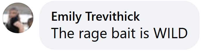 Facebook comment reading "The rage bait is WILD"