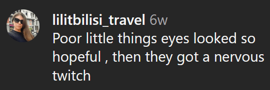 Leitura de comentários do Instagram "Os olhos das coitadinhas pareciam tão esperançosos que depois ficaram nervosos"