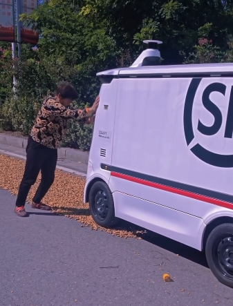 Vídeo de uma mulher empurrando uma van de entrega atropelando seus vegetais.